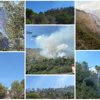 Olivetta San Michele: incendio boschivo a ridosso della Statale 20 al confine con Airole, soccorsi sul posto e Canadair all'opera (Foto e Video)