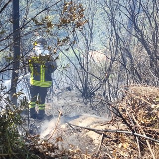 Vasto incendio boschivo tra Cipressa e Lingueglietta: fiamme vicino alle case e al cimitero di Costarainera
