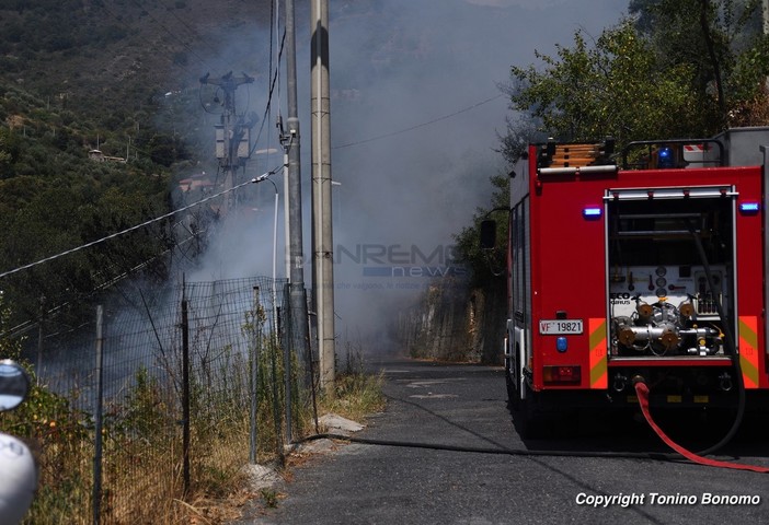 Imperia: incendio in una campagna di strada Pinea, distrutto capanno per gli attrezzi