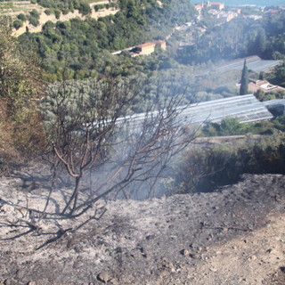 Stato di grave pericolosità per gli incendi boschivi: da questa notte divieto di accendere fuochi in tutta la regione