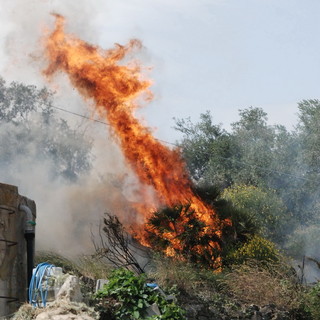 Bordighera: incendio di sterpaglie in zona Coggiola, VVF sul posto