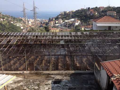 Nelle foto la serra incendiata