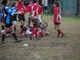 Inizia la stagione 2010/2011 del rugby femminile ad Imperia