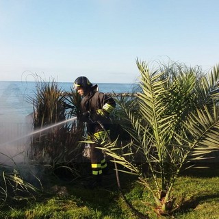 Sanremo: piccolo incendio di un'aiuola sul lungomare Italo Calvino, pronto intervento dei Vvf (Foto)