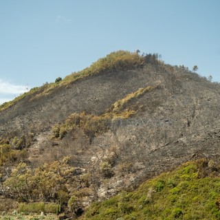 Taggia: incendio di stamattina, terminato da poco il lavoro delle squadre di Protezione Civile