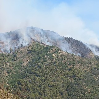 Ventimiglia: quattro Canadair in azione per spegnere l'incendio che ha distrutto 10 ettari di bosco (Foto e Video)