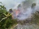 Ventimiglia: incendio in frazione Grimaldi, evacuate alcune abitazioni e distrutta anche una serra
