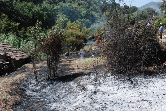 Ventimiglia: piccolo incendio di sterpaglie, questa mattina poco prima di mezzogiorno in località San Rocco