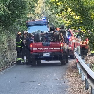 Sanremo: incendio boschivo sopra Coldirodi, Vvf in azione e strada chiusa per un'ora (Foto)