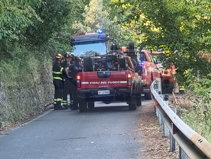 Sanremo: incendio boschivo sopra Coldirodi, Vvf in azione e strada chiusa per un'ora (Foto)