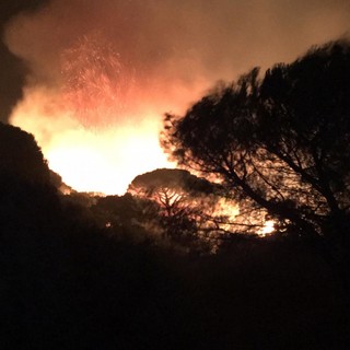 Le fiamme in Costa Azzurra (foto da Nice Matin)