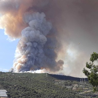 Settore forestale, vice presidente Piana: &quot;Bandi per oltre 14 milioni di euro per la prevenzione dei danni da incendi e altre calamità&quot;