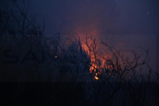 Montalto Carpasio: piccolo incendio boschivo nella serata di ieri, intervento dei Vigili del Fuoco