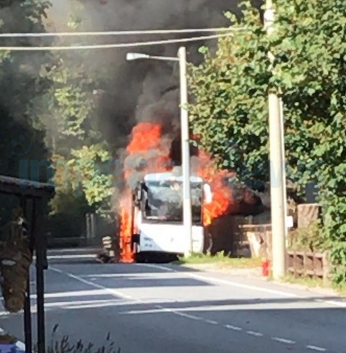 Col di Nava: non c'è pace per la Riviera Trasporti, pullman completamente distrutto da un incendio (Foto)