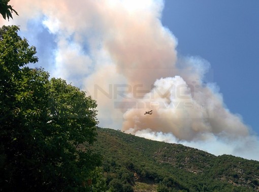 Provincia di Imperia sempre nella morsa degli incendi: nuovo rogo di bosco stavolta a Torre Paponi