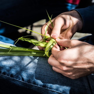 Sanremo: importante contributo del Comune, salva la tradizione dei 'Parmureli' in Vaticano per le 'Palme'