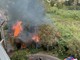 Ventimiglia: incendio nel primo pomeriggio alla vegetazione nell'oasi del Nervia, intervento dei VVF (Foto)