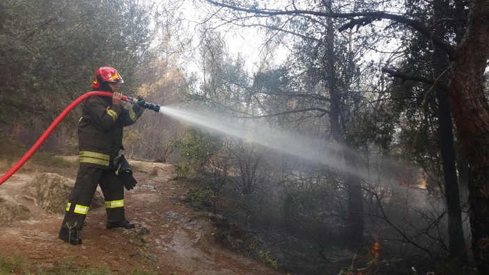 Ventimiglia: nuovo incendio a La Mortola vicino alla ferrovia, quasi spento e traffico ferroviario senza problemi (Foto)