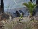 Bordighera: secondo incendio ad un palmeto in pochi giorni vicino al cimitero dell'Arziglia