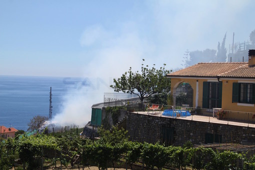 Arma di Taggia: incendio di sterpaglie in via Castelletti vicino ad alcune case, intervento dei Vigili del Fuoco (Foto)