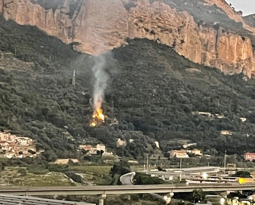 Ventimiglia: piccolo incendio boschivo sopra Roverino, intervento dei Vigili del Fuoco (Foto)