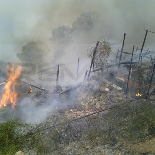 Doppio incendio tra Grimaldi e Pietrabruna: andati in fumo 20 ettari di bosco. 5 mezzi aerei e decine di soccorritori impegnati