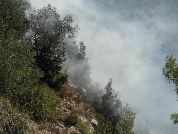 Olivetta San Michele: sotto controllo l'incendio divampato stamani, ora la bonifica