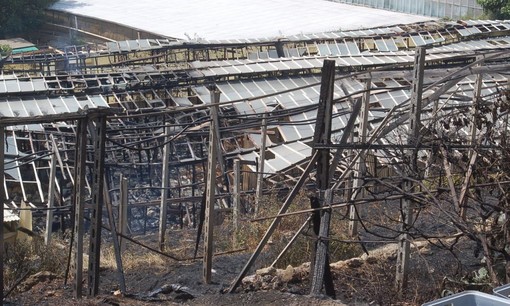 Ventimiglia: incendio questa mattina ai danni di una serra della cooperativa 'L'Ancora'