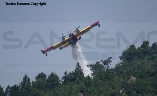 Incendi boschivi: approvato schema di protocollo d’intesa tra Liguria, Lombardia e Piemonte