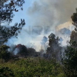 Ventimiglia: caldo asfissiante, nuovo incendio sopra la frazione di Latte, soccorsi in atto