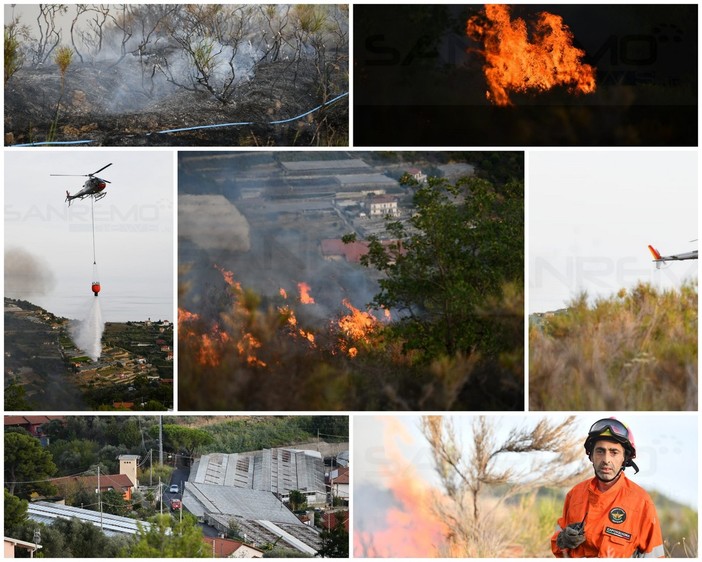 Sanremo: incendio boschivo nella zona di strada Peiranze verso Verezzo, intervento dei Vigili del Fuoco (Foto e Video)