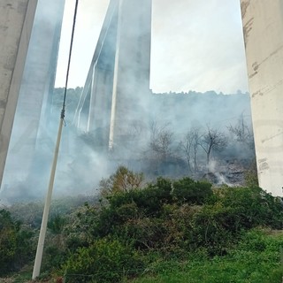 Vallecrosia, incendio di sterpaglie sotto il ponte dell'autostrada: salve le abitazioni (Foto e video)