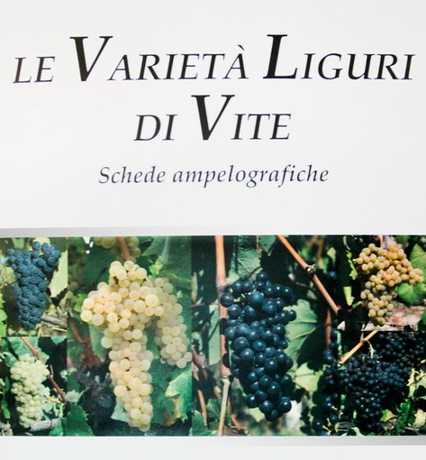 Un nuovo libro per 'Le varietà di vite liguri' verrà presentato dall'Assessore Barbagallo