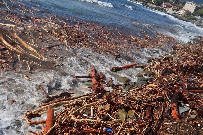 Camporosso: ordinanza del Sindaco, fino al 31 ottobre consentito prelevare il legno dalle spiagge