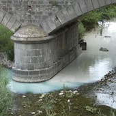 Ancora mistero sul liquame biancastro nell'Oasi del Nervia, i volontari: “Attendiamo le analisi di Arpal e carabinieri forestali&quot; (Foto)