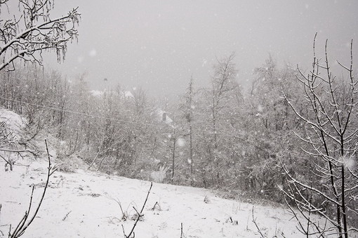 Maltempo sulla nostra provincia: piove sulla costa e nevica sulle statali del Tenda e del Nava