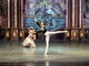 Il giovane camporossino Luca Pelaia stella nascente del balletto classico (foto)