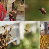Bordighera, documentari in giro per il mondo: è online una raccolta fondi per aiutare le bambine che danzano con le api