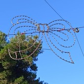 Camporosso dà il via ai lavori per le luminarie di Natale, iniziata l’installazione (Foto)