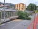 Vallecrosia: lavori in via Don Bosco, il consigliere Giovanna &quot;Era necessario tagliare anche gli alberi?&quot; (Foto)
