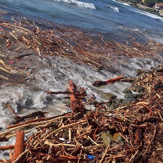 Camporosso: ordinanza del Sindaco, fino al 31 ottobre consentito prelevare il legno dalle spiagge