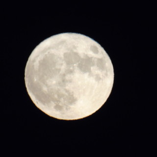 Questa sera, meteo permettendo, occhi puntati al cielo per ammirare la Luna piena del &quot;raccolto&quot;