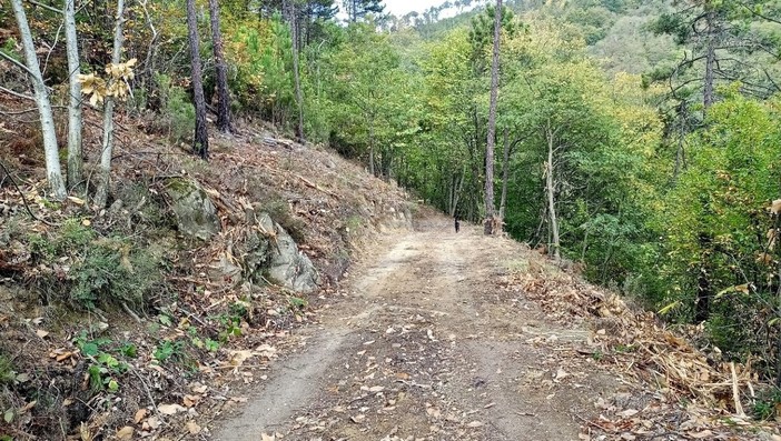 Sanremo: dal Comune 10 mila euro per la manutenzione dei percorsi di mountain bike