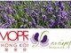 I prodotti della 'Lavanda della Riviera dei Fiori' alla 23a edizione di 'Cosmoprof Asia' ad Hong Kong