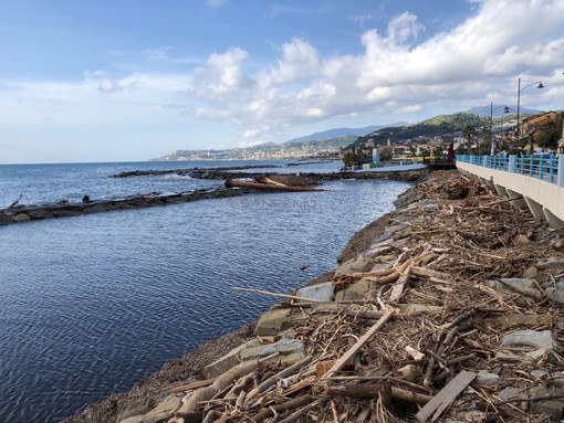 Il legname rimasto sulle spiagge dopo l'alluvione di ottobre