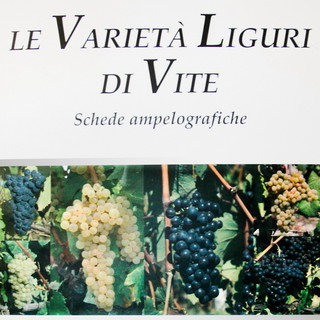 Un nuovo libro per 'Le varietà di vite liguri' verrà presentato dall'Assessore Barbagallo