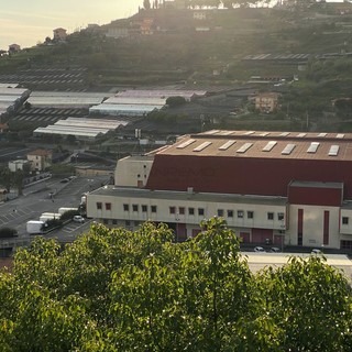 Il Mercato dei Fiori di valle Armea