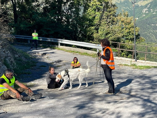 'Mantrailing a Triora', una disciplina nella quale i cani sono formati per individuare e seguire una traccia lasciata dal passaggio di una persona ‘dispersa’ (foto)