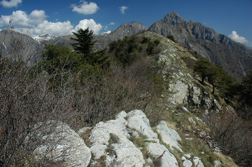 Da domani a domenica si chiude in bellezza la 1a edizione della 'Festa di Primavera nelle Alpi Liguri'