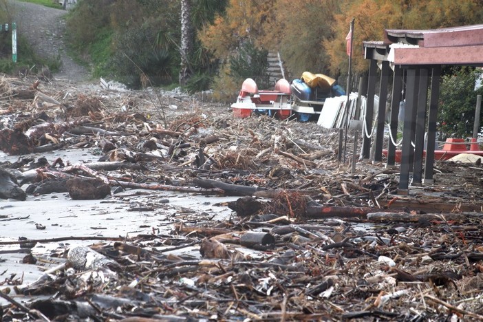 Mareggiata di ieri: spiaggia di Bussana invasa da detriti e legno, oggi attesi ancora forte vento e mare grosso (Foto)